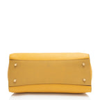 Mulberry Calfskin Iris Medium Shoulder Bag (SHF-TbOn7b)
