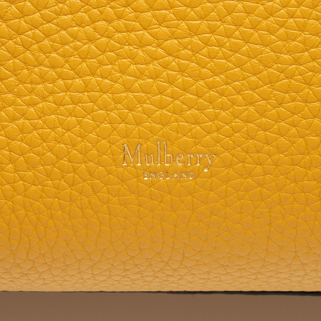 Mulberry Calfskin Iris Medium Shoulder Bag (SHF-TbOn7b)