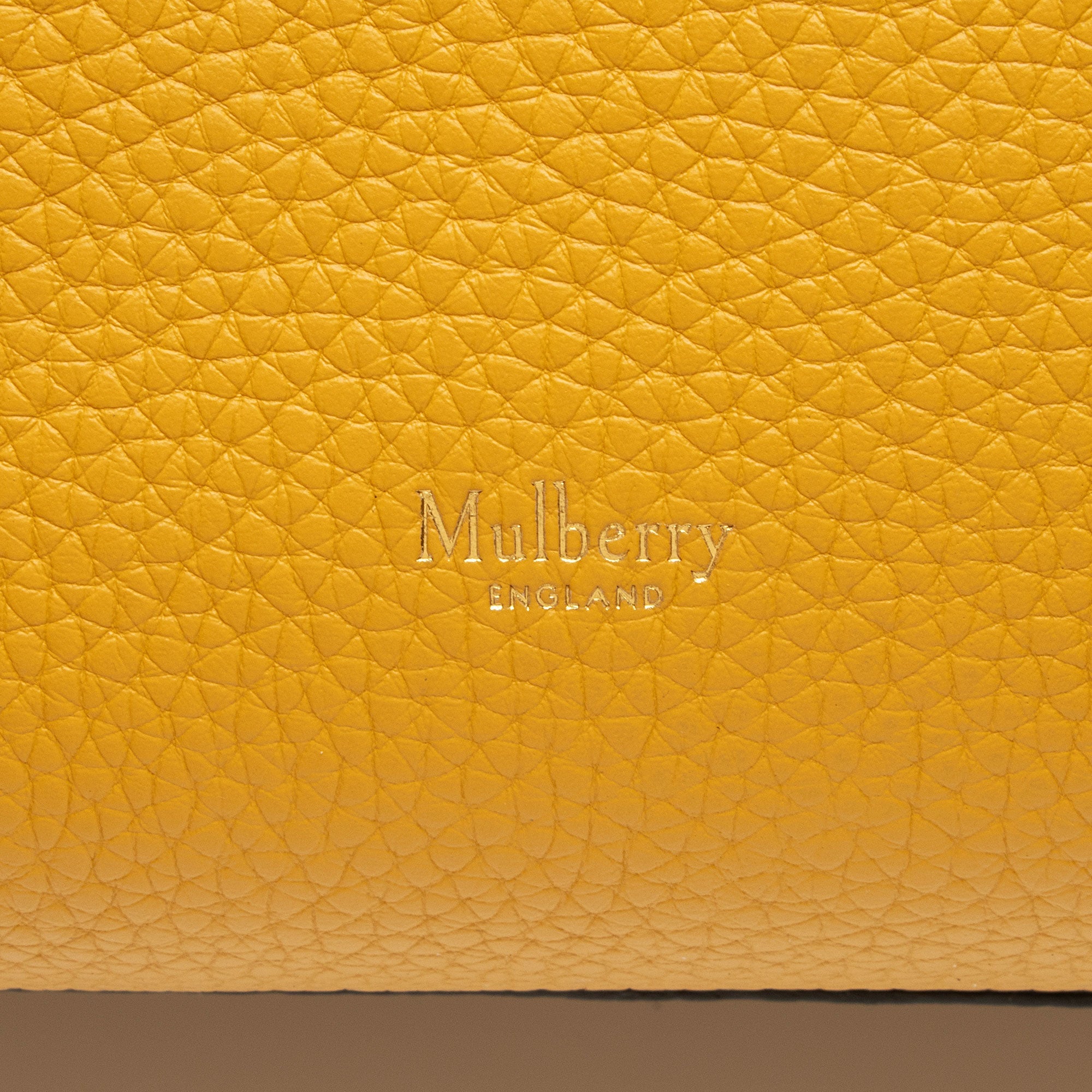 Mulberry Calfskin Iris Medium Shoulder Bag (SHF-TbOn7b)