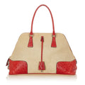Prada Ostrich Trimmed Dome Handbag (SHG-24969)