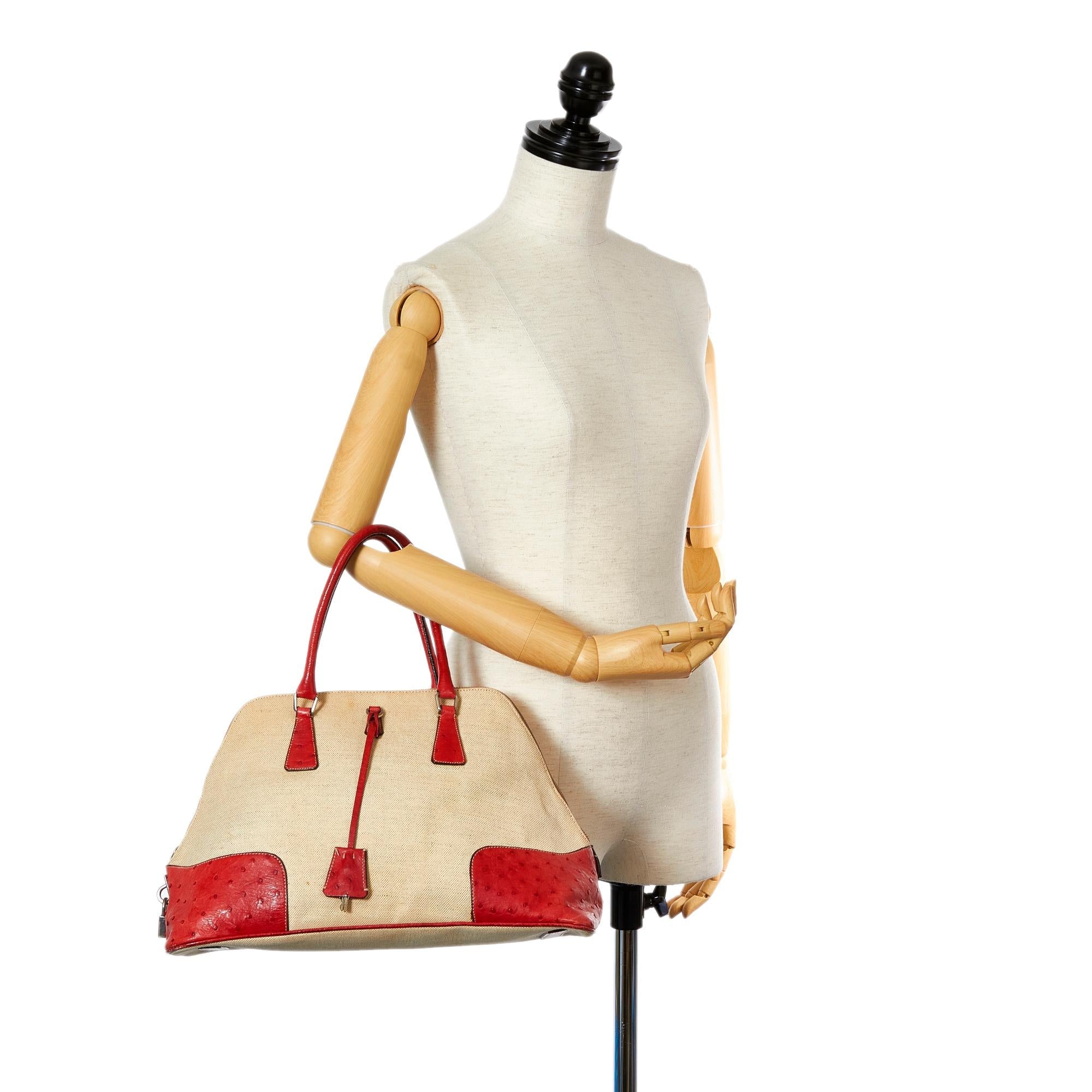 Prada Ostrich Trimmed Dome Handbag (SHG-24969)