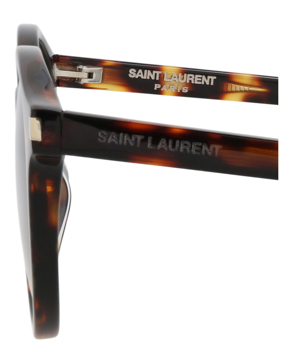 Saint Laurent Unisex Round/Oval Havana Havana Grey Fashion Designer Eyewear