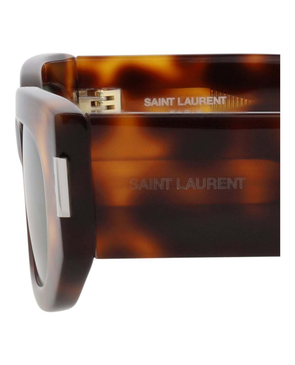 Saint Laurent Unisex Round/Oval Havana Havana Green Fashion Designer Eyewear