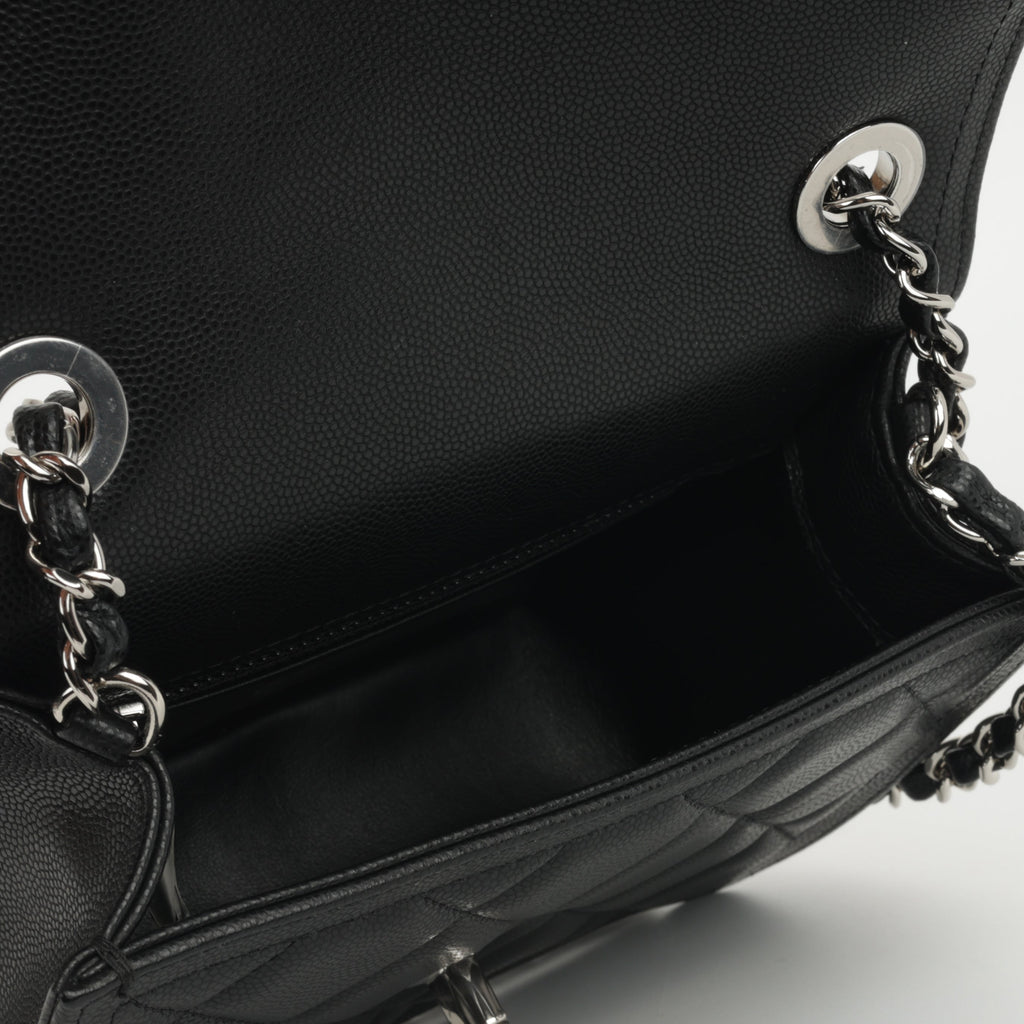 Chanel 23s Seasonal Mini Flap