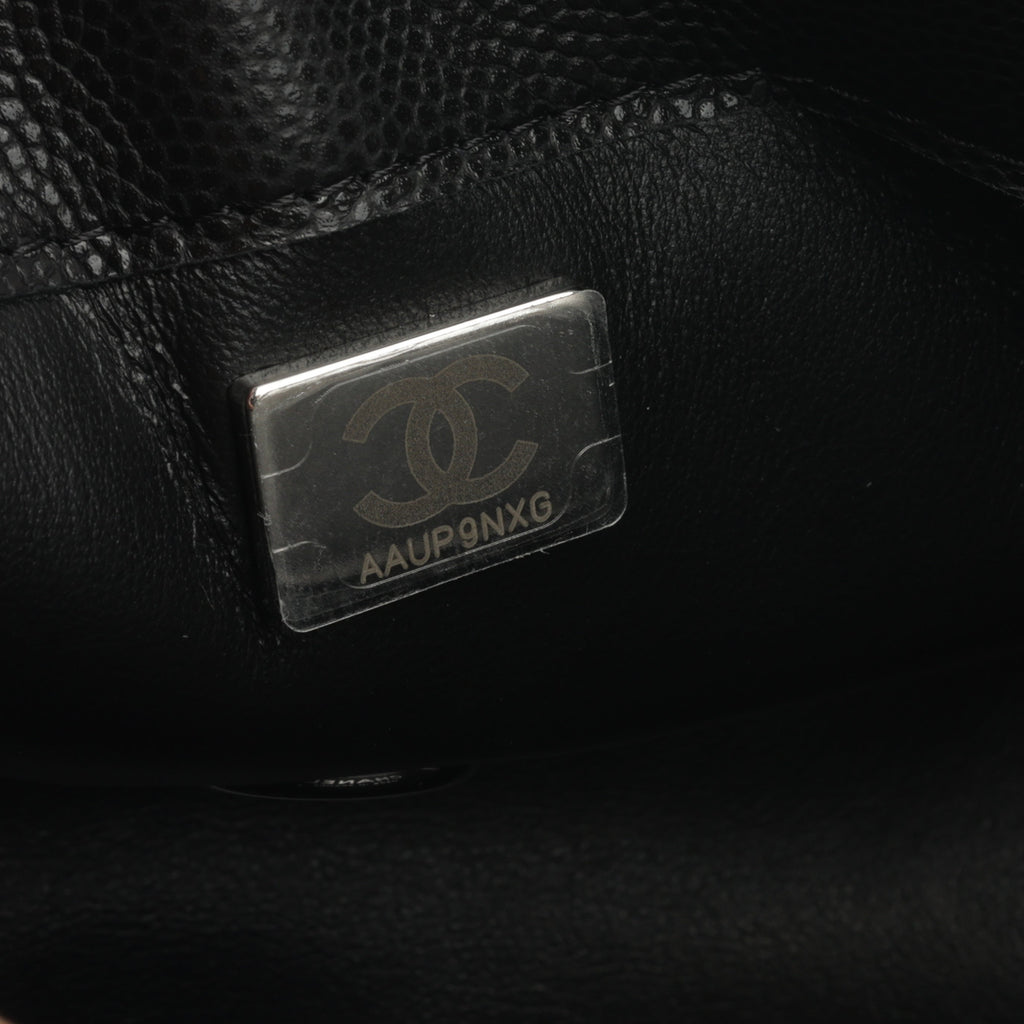 Chanel 23s Seasonal Mini Flap