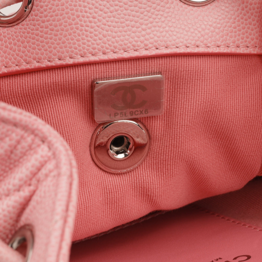 Chanel My Everything Backpack