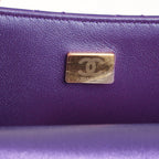 Chanel Small Seasonal Flap W/Star Pouch
