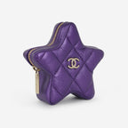 Chanel Small Seasonal Flap W/Star Pouch