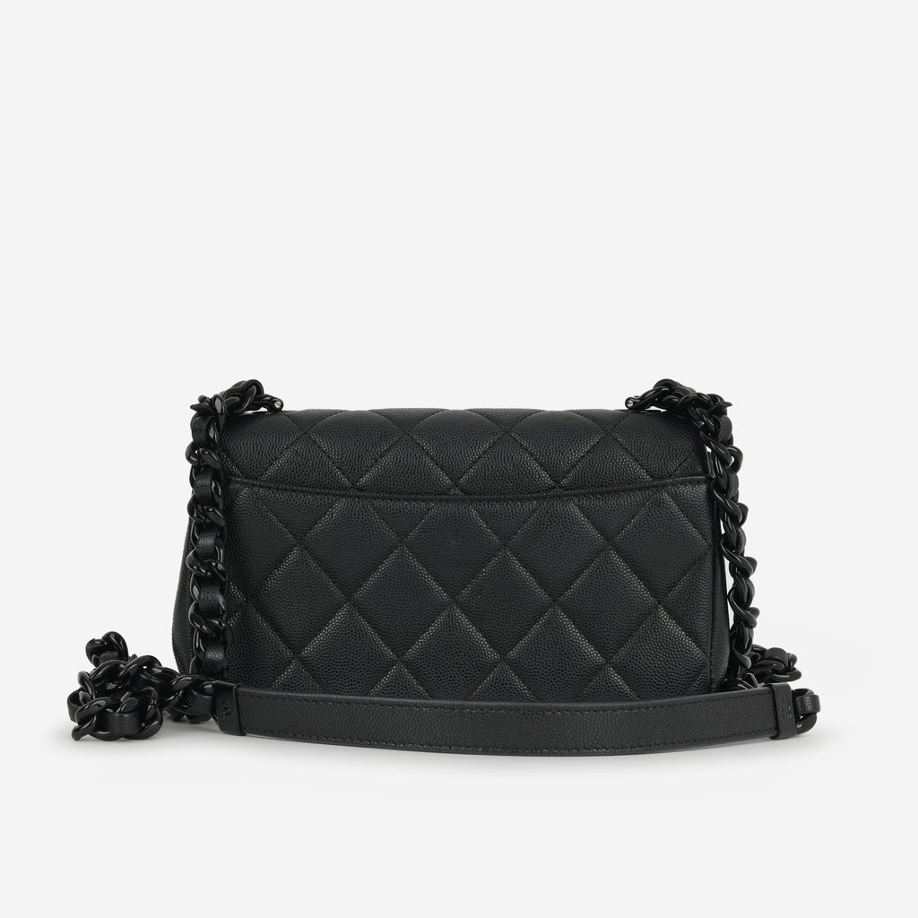 Chanel Seasonal Mini Flap