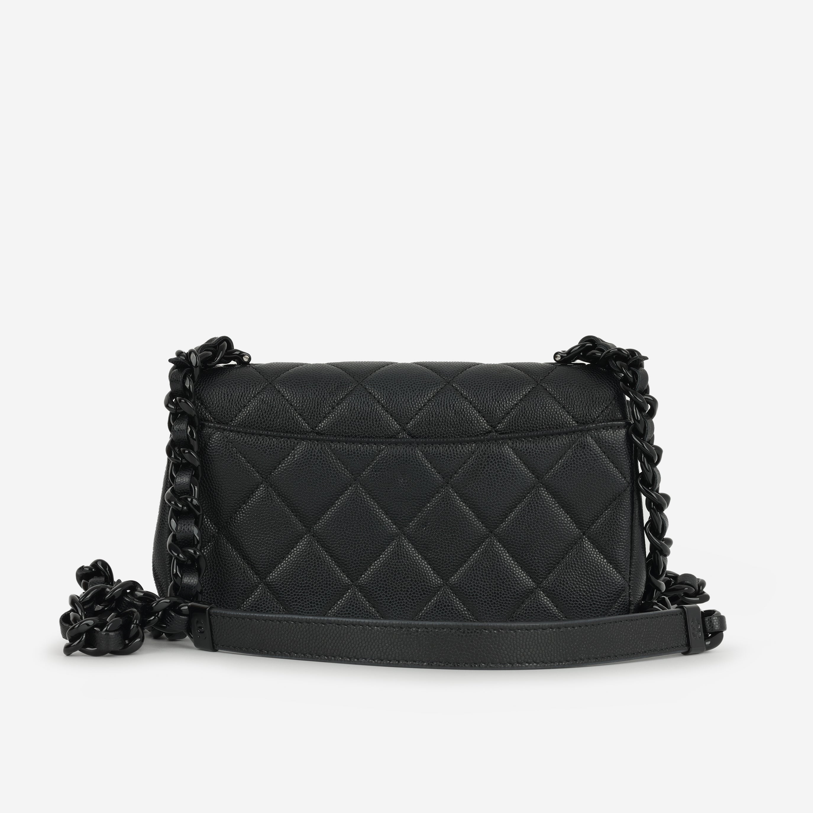 Chanel Seasonal Mini Flap