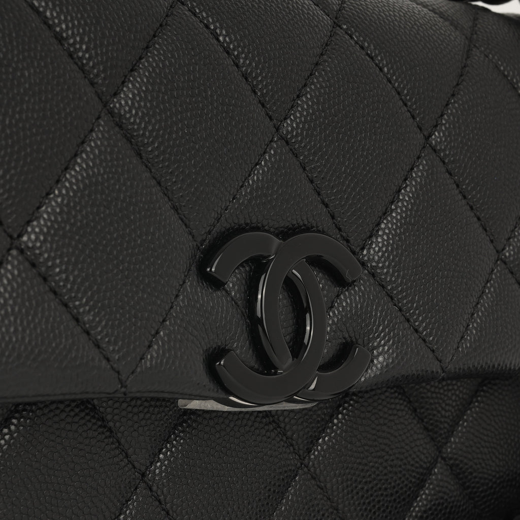 Chanel Seasonal Mini Flap