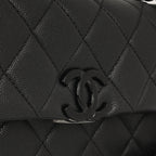 Chanel Seasonal Mini Flap