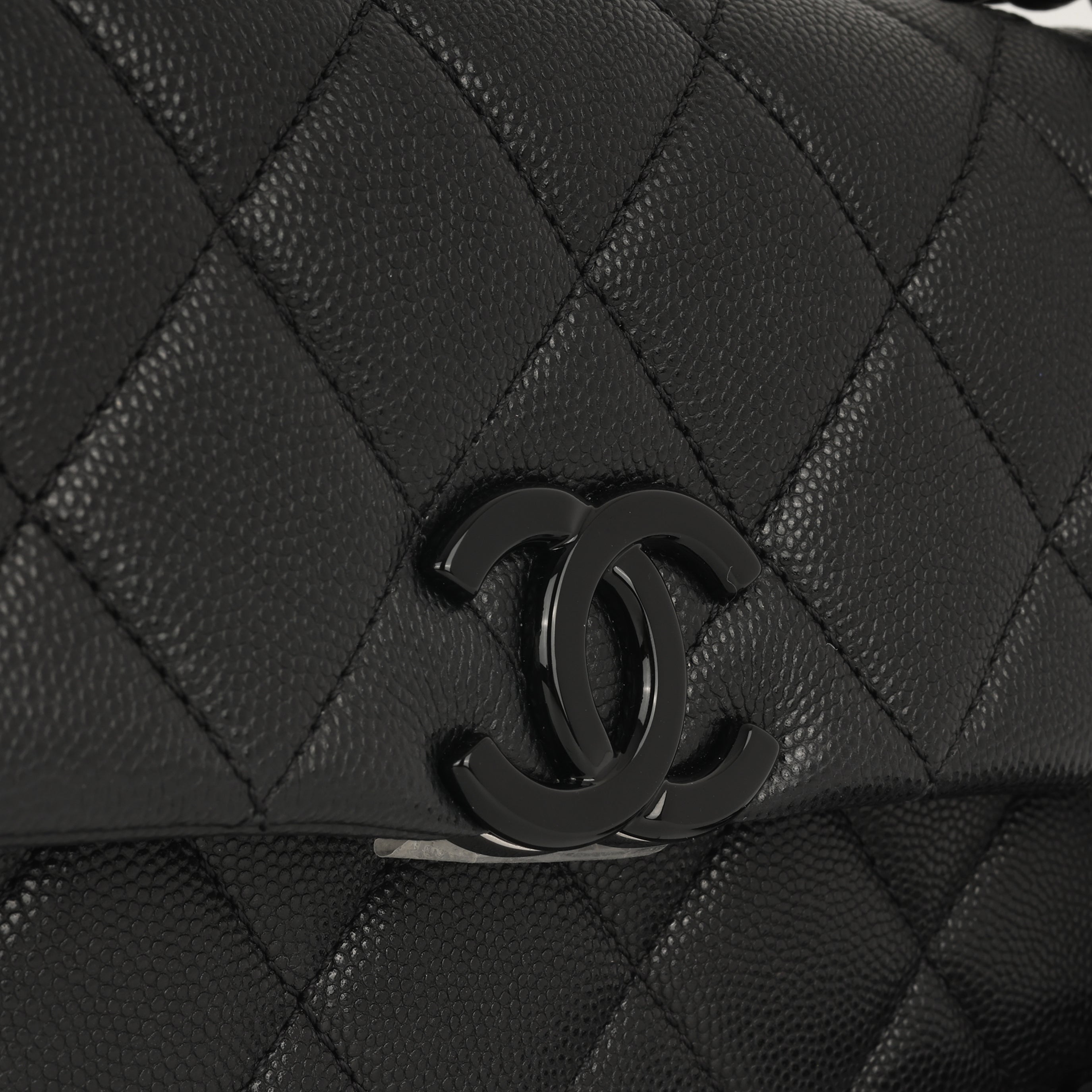 Chanel Seasonal Mini Flap