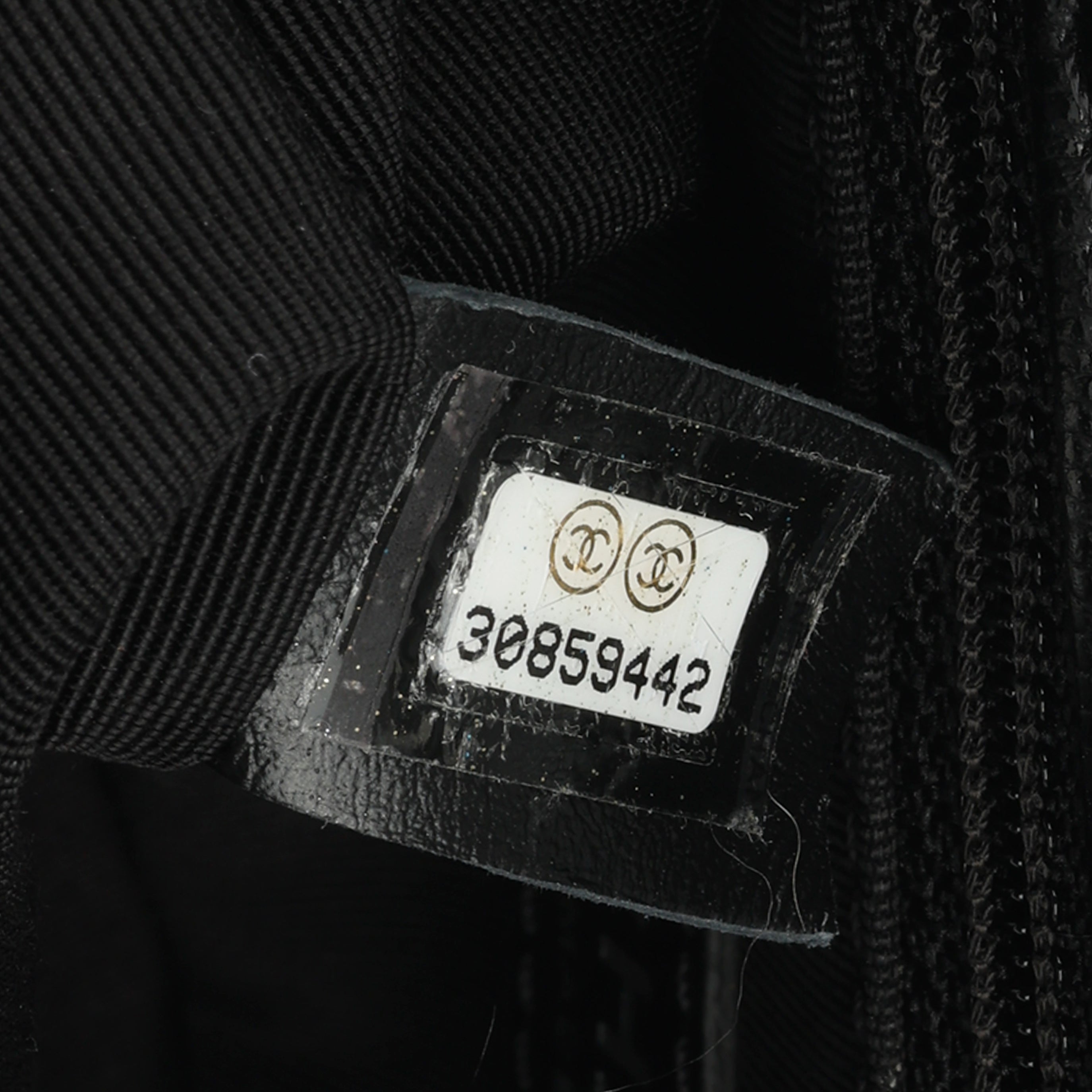 Chanel Seasonal Mini Flap