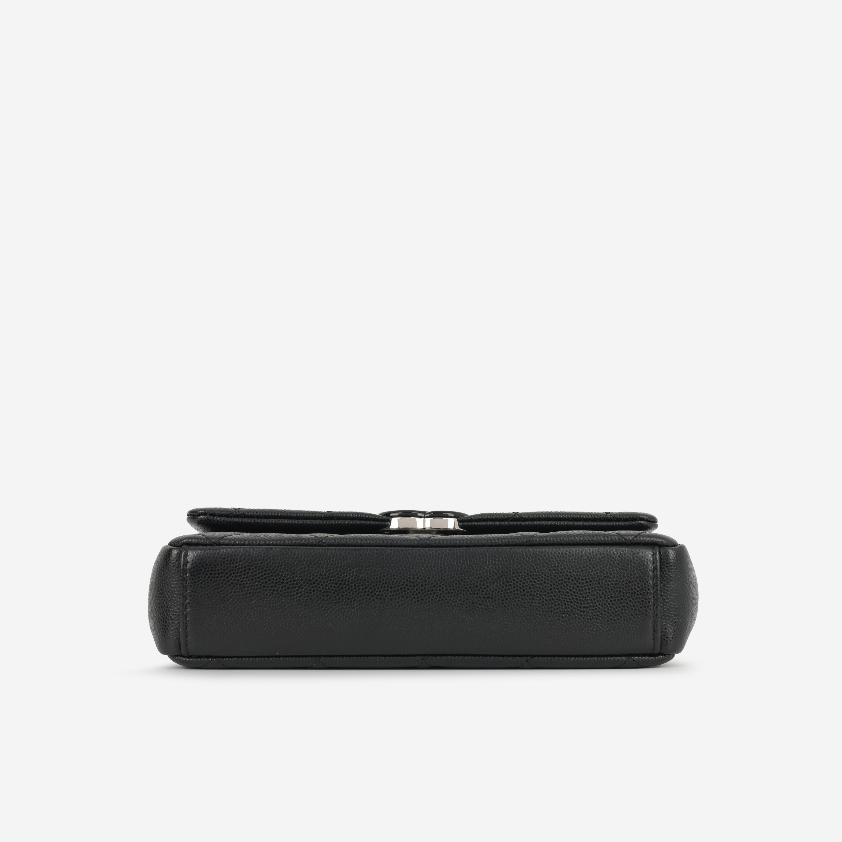 Chanel Seasonal Mini Flap