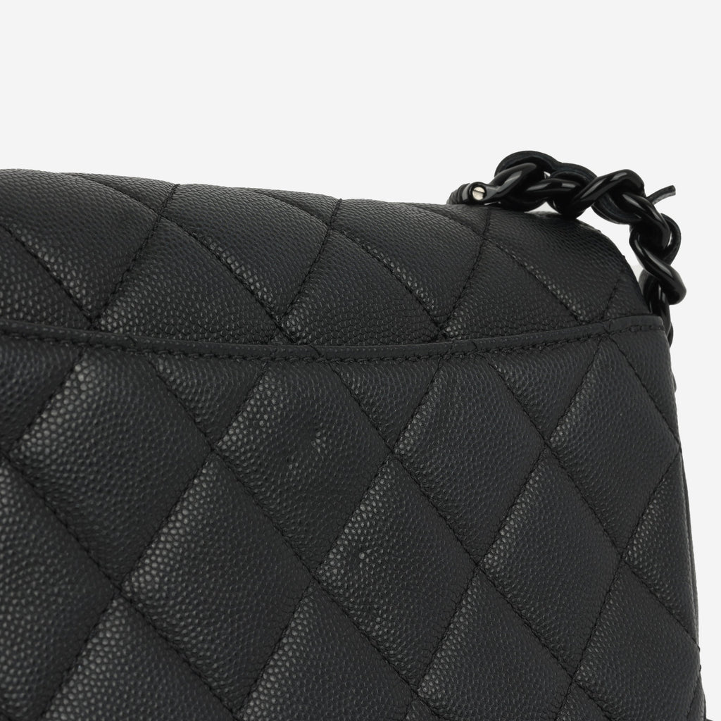 Chanel Seasonal Mini Flap