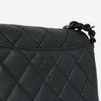 Chanel Seasonal Mini Flap