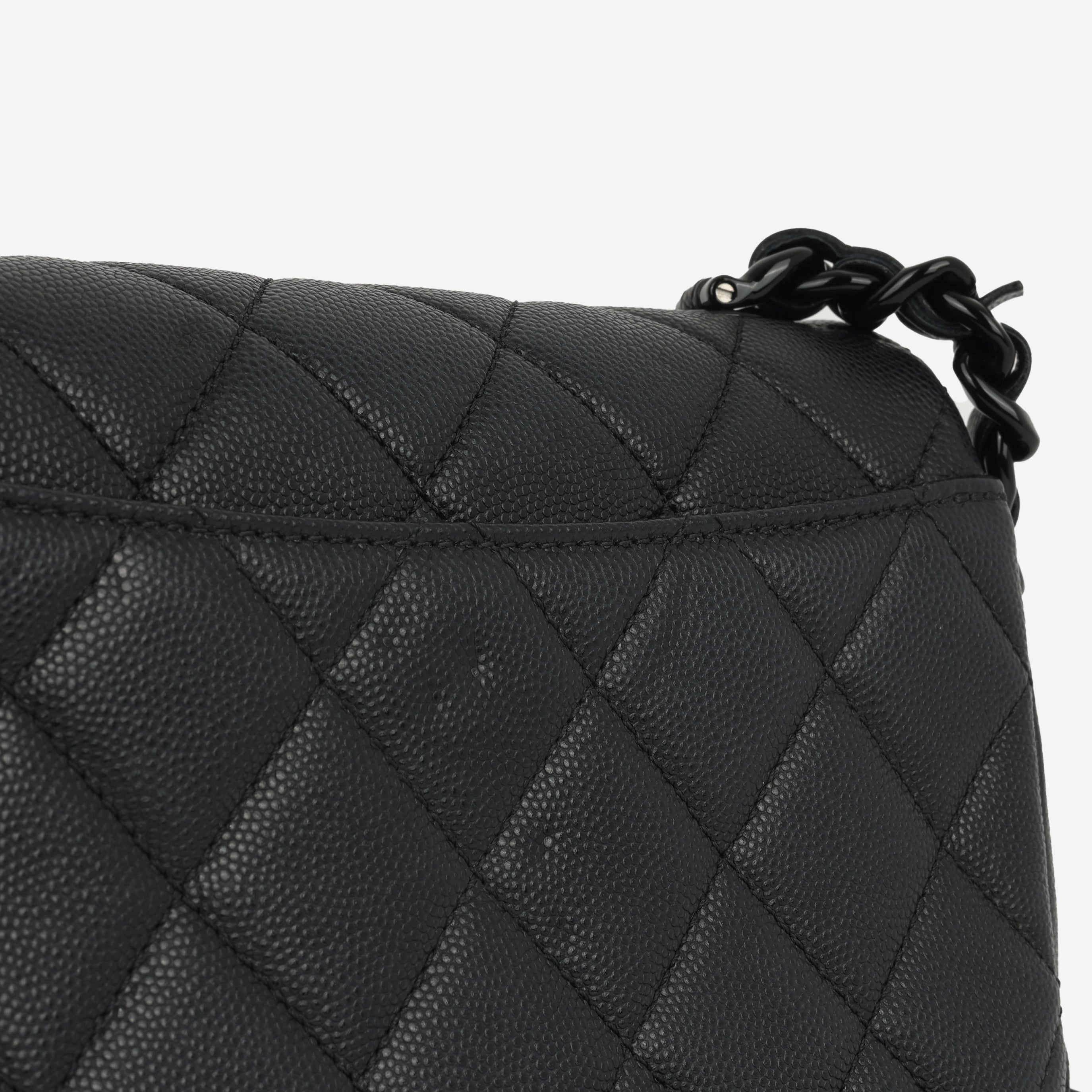 Chanel Seasonal Mini Flap