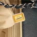 Chanel Timeless CC Single Flap