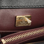 Chanel Medium Coco Handle