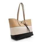 Salvatore Ferragamo Calfskin Tricolor Studio Tote (SHF-21835)