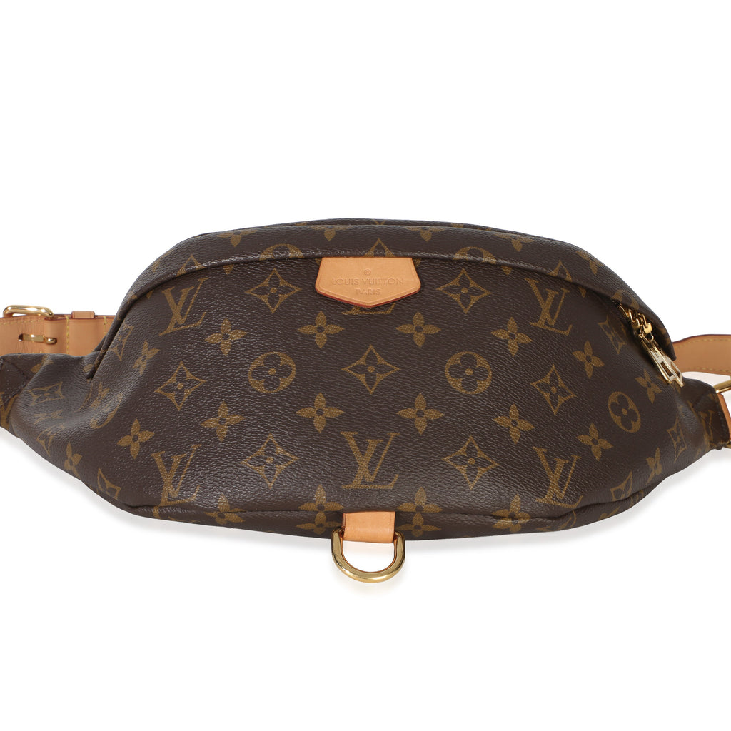 Louis Vuitton Monogram Canvas Bumbag