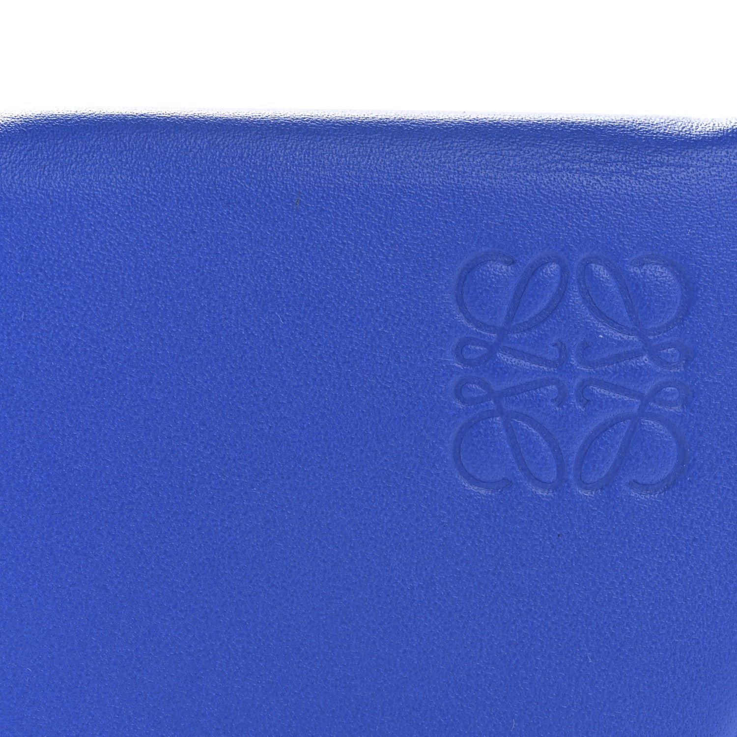 Loewe Smooth Calfskin Mini Heel Crossbody Bag Electric Blue Green