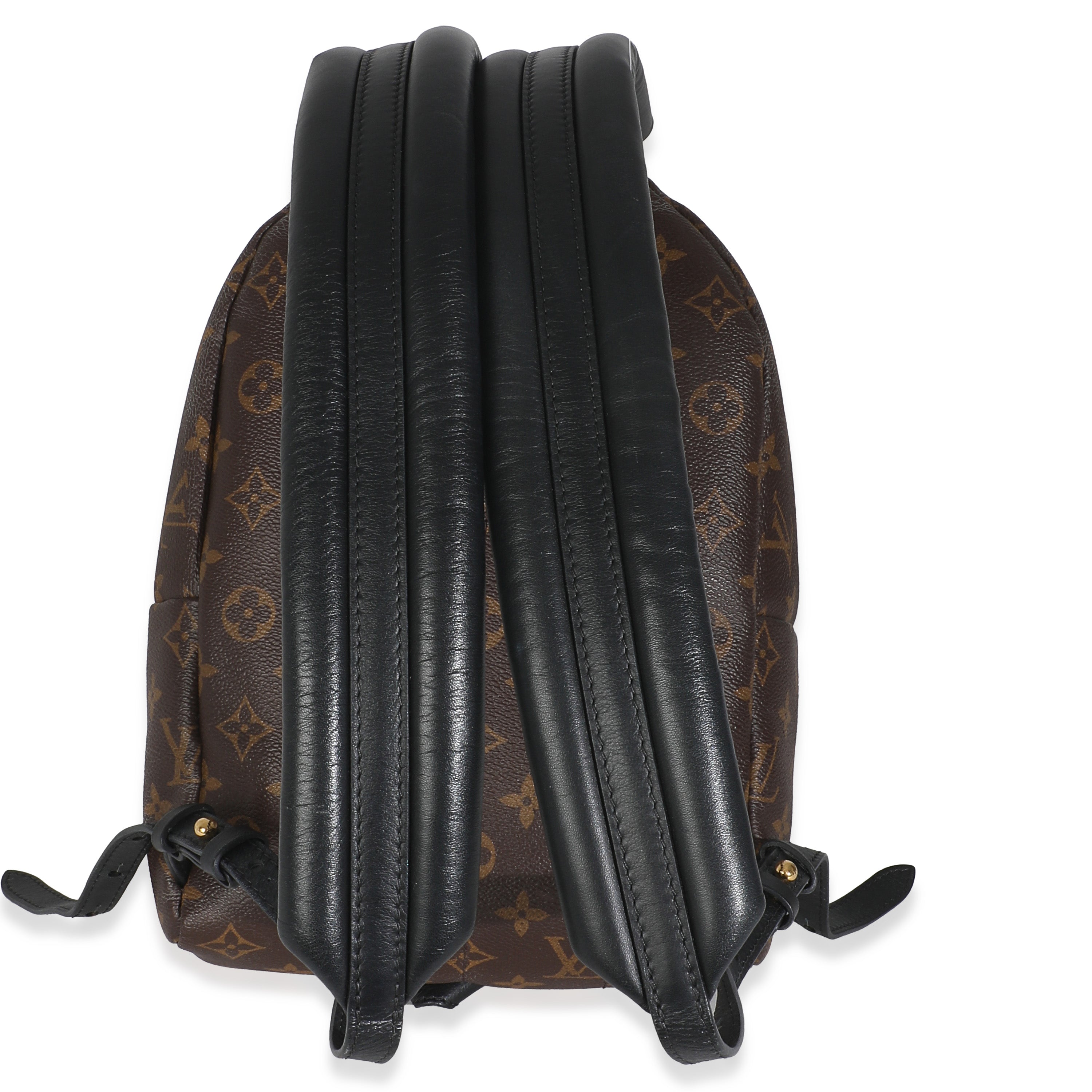 Louis Vuitton Reverse Monogram Canvas Palm Springs PM