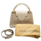 Louis Vuitton Galet Python Taurillon Capucines MM