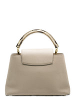 Louis Vuitton Galet Python Taurillon Capucines MM
